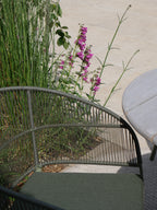 Arda Teak Dining Table with Kane Stackable Chairs