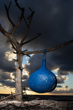 Maarcora DAYFERN Hanging Chair